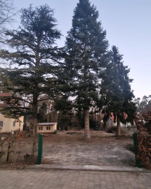 Ein paar Bilder von der Woche. 🌲🪓
Hier sollten wir eine Bauplatzfläche Roden um das zwei Einfamilien Häuser ihren Platz haben. ⚒️
#baum #baufläche #bäumefällen #forstarbeit #winter #kalt #hebebühne #spaß #beiderarbeit #best #wetter
